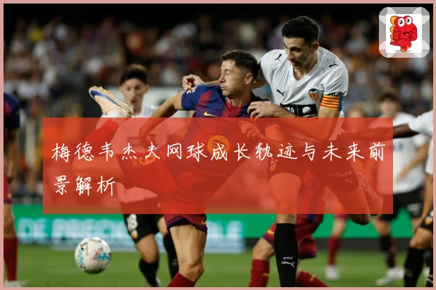 梅德韦杰夫网球成长轨迹与未来前景解析