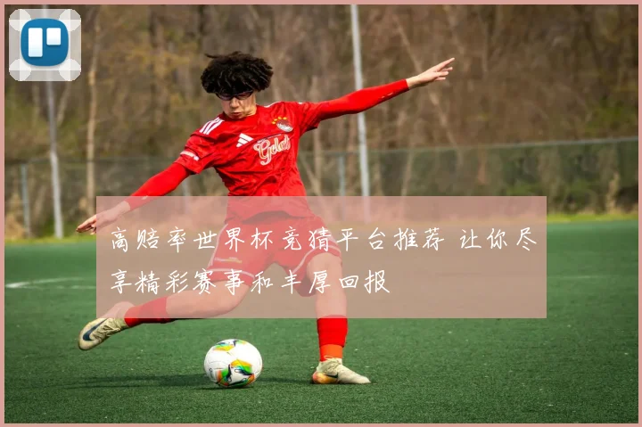 高赔率世界杯竞猜平台推荐 让你尽享精彩赛事和丰厚回报