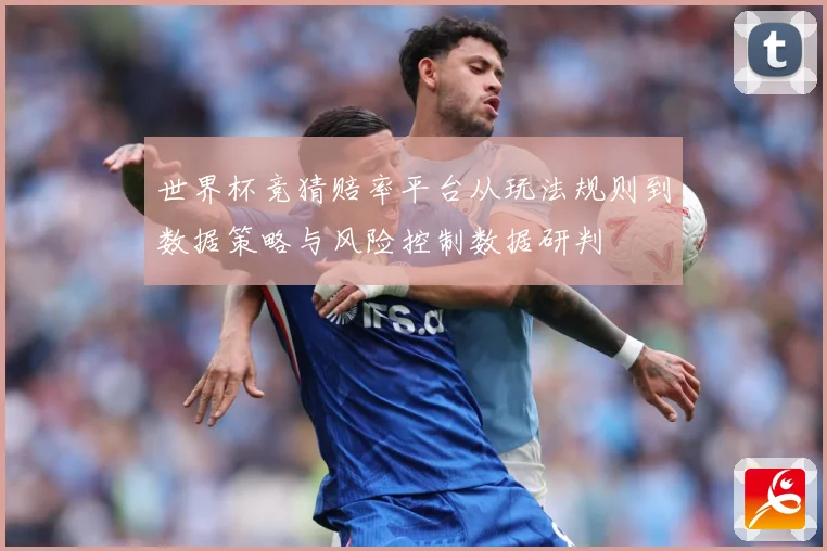 世界杯竞猜赔率平台从玩法规则到数据策略与风险控制数据研判