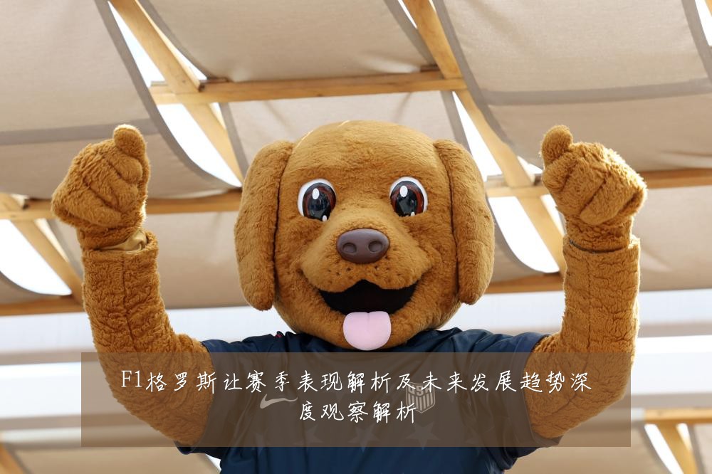 F1格罗斯让赛季表现解析及未来发展趋势深度观察解析