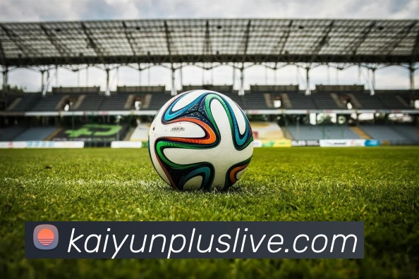 开云平台展示图