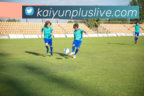 开云体育平台引领全民运动健康生活新趋势